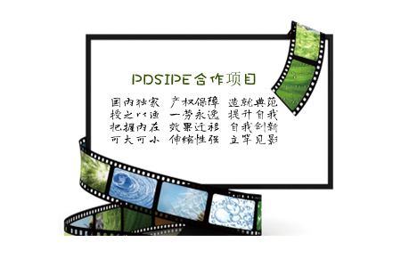 PDSIPE“嵌入式”精英实验班整体设计与操作